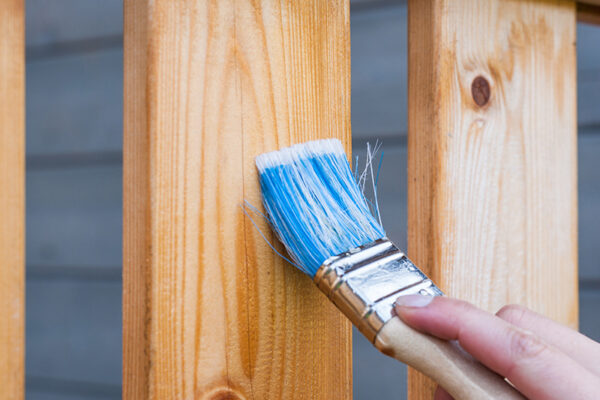 Staining my new fence